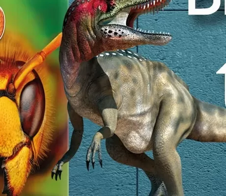 Augmented Reality in Children's Books